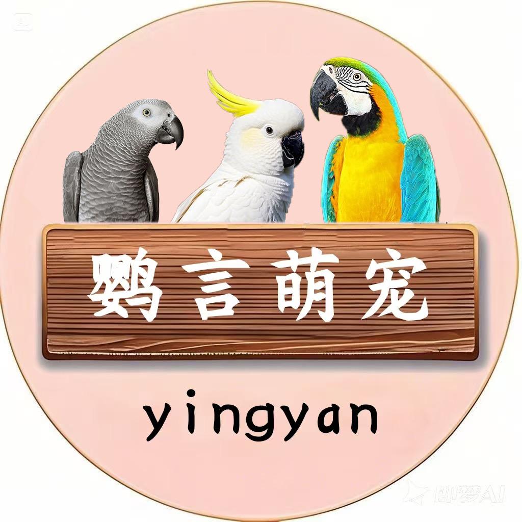 鹦言萌宠
