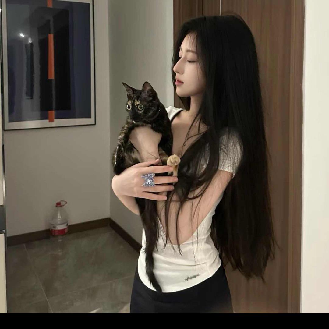脏脏猫