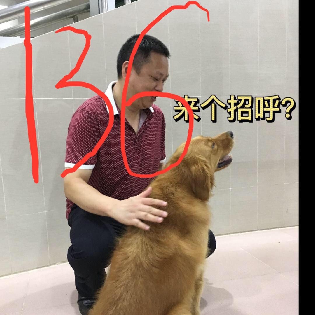 桂子哥在学习再谢谢[广州桂子谢谢]