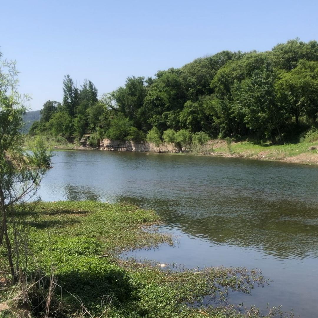 姚老师野钓日记