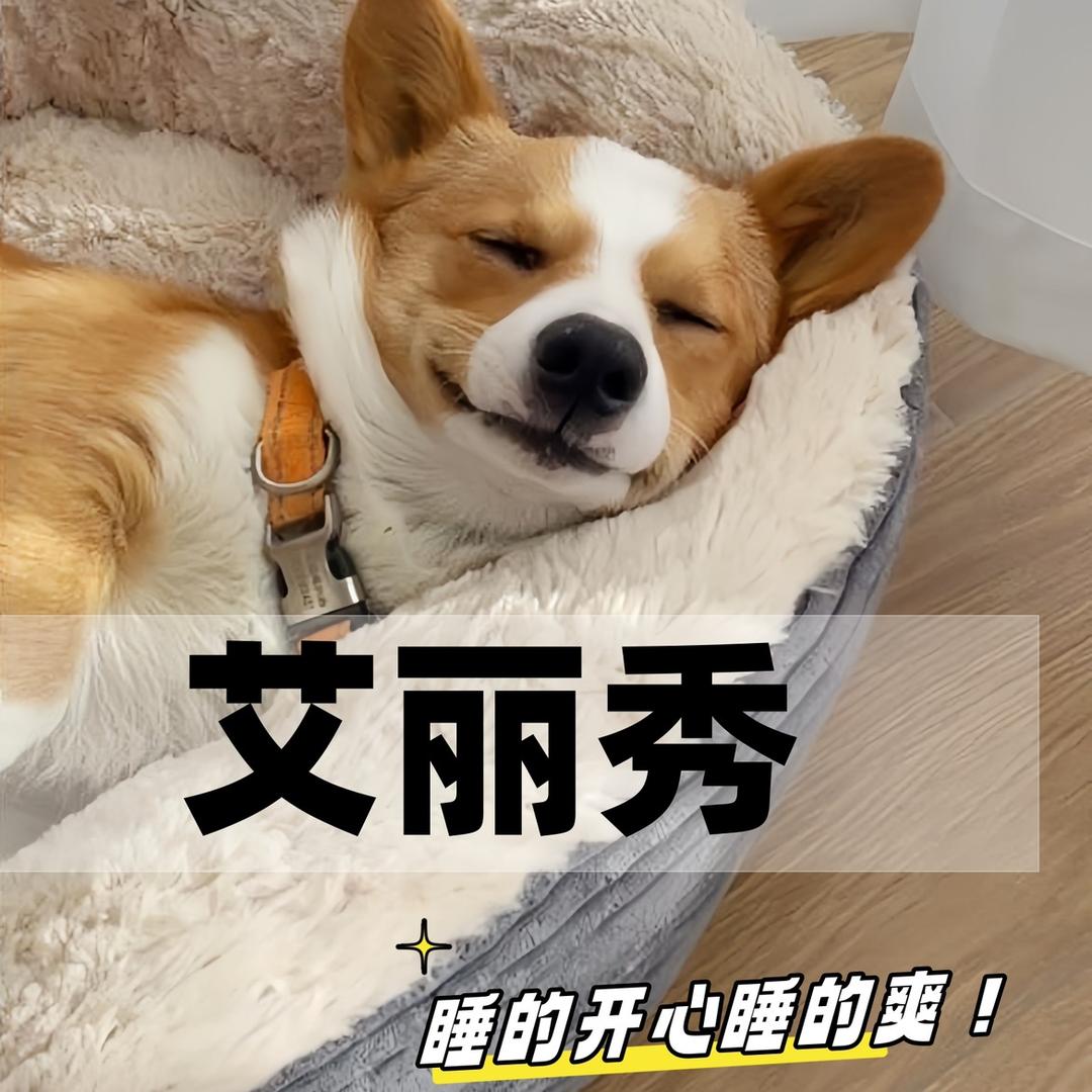 艾丽秀宠物用品