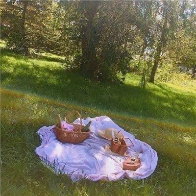夏天的玫瑰🌹