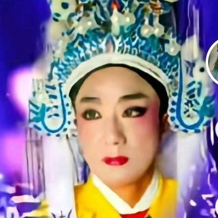 庐剧陈蕾