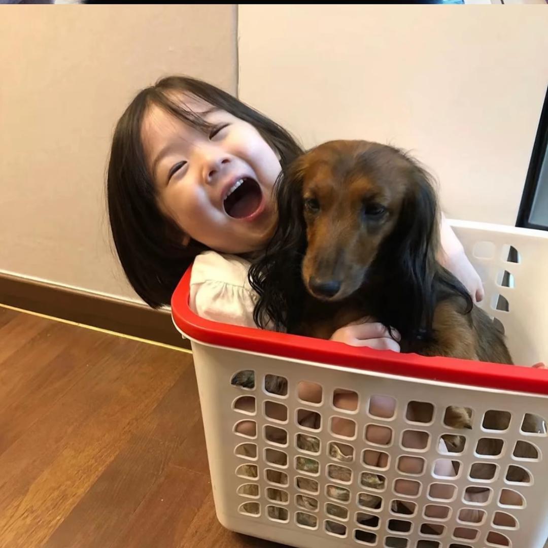 悲伤不会说话