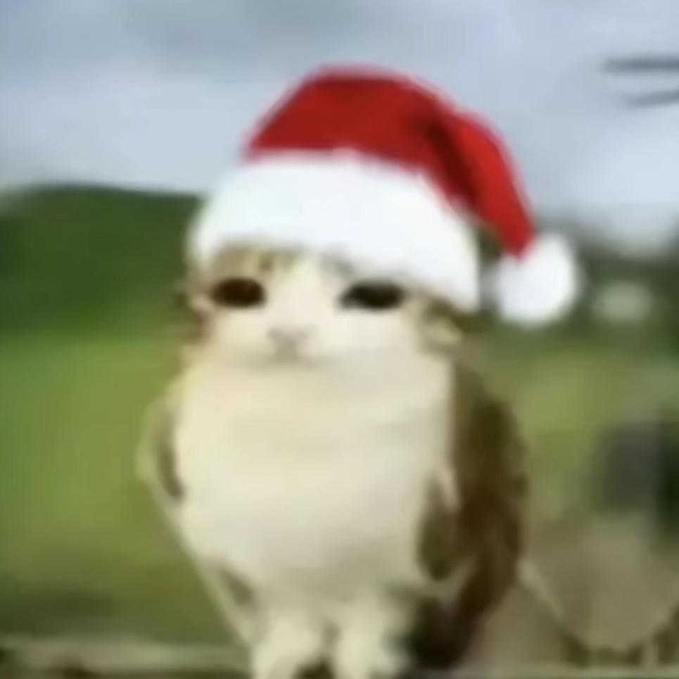 一根忧郁的钢笔