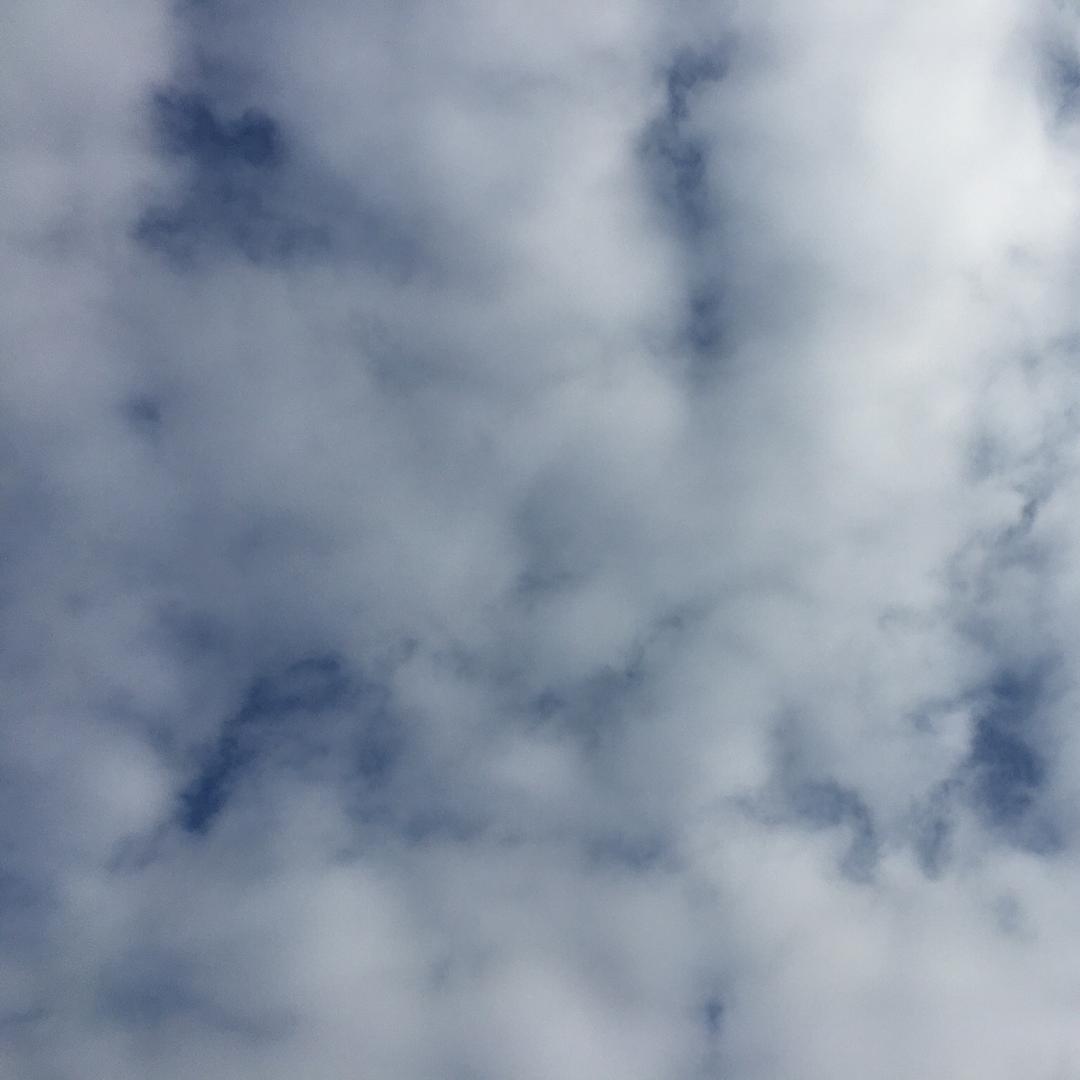 勺子.