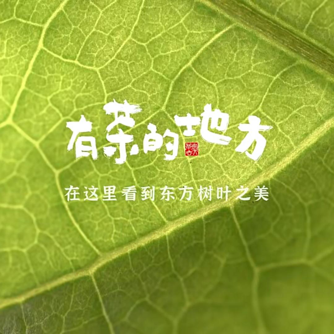 纪录片《有茶的地方》
