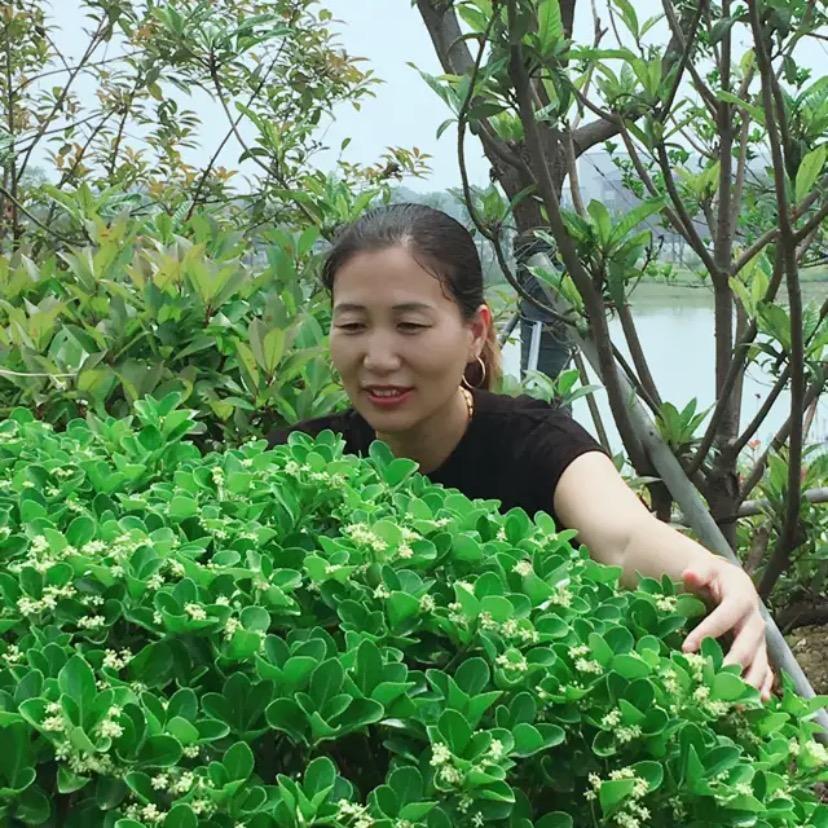 王利