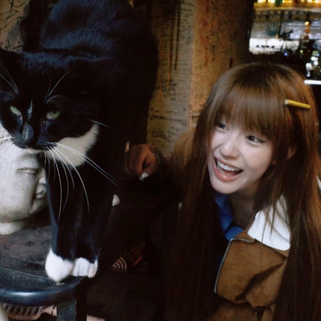树猫