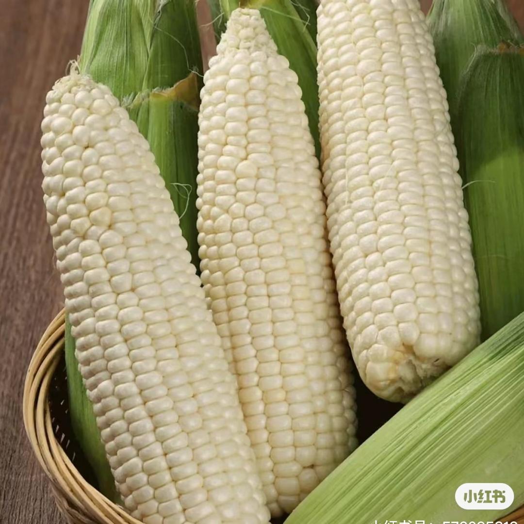 食尚优品🌽
