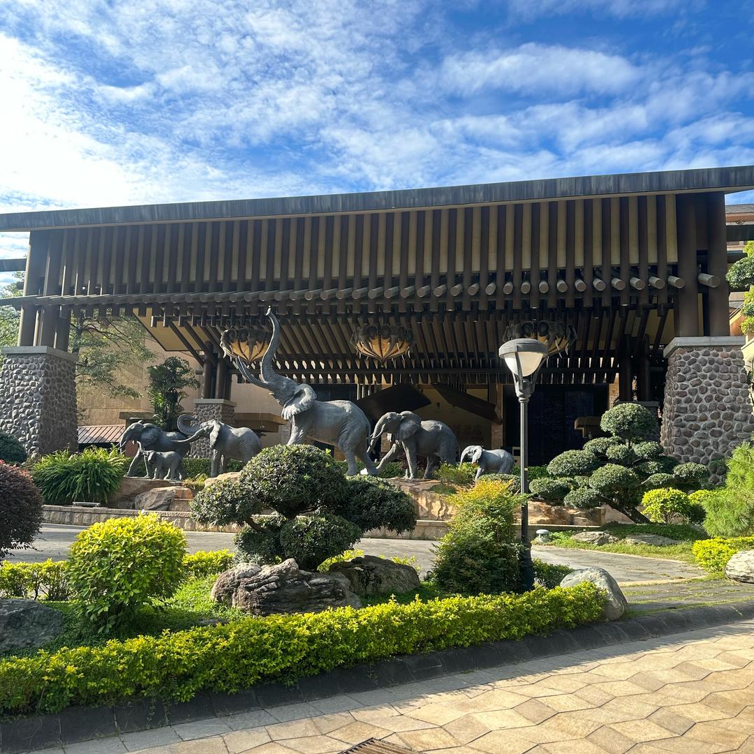 广州长隆跑腿＋（大马戏升级+婴儿车）