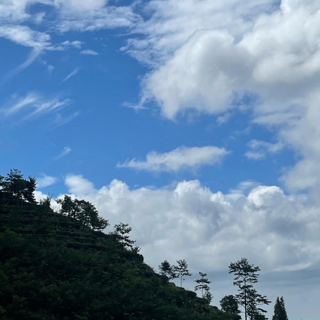 时 光