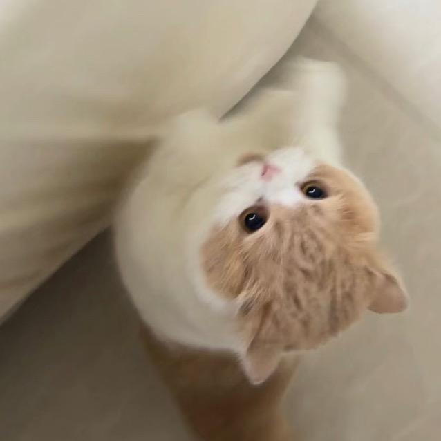 酸了个奶