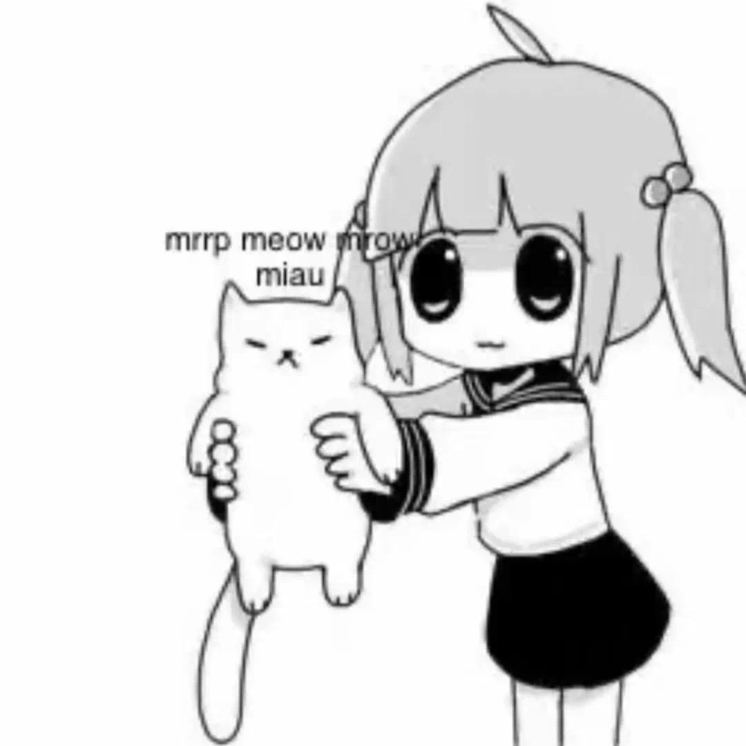 wssjiy