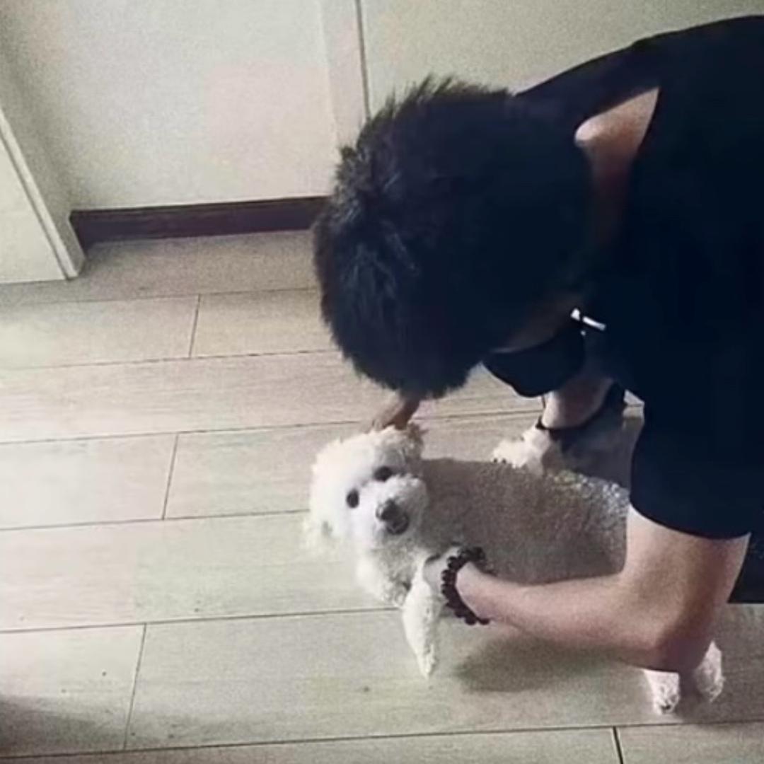 🐾