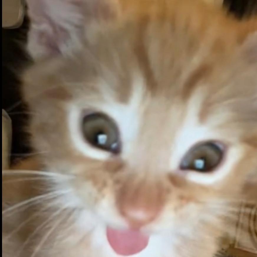 Tangerine