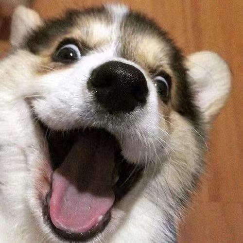 Y💝