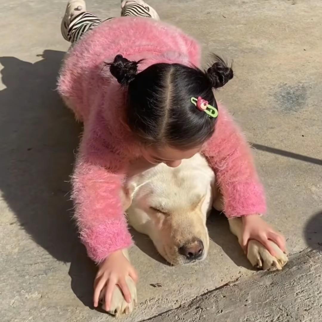 泽泽胃肯肯