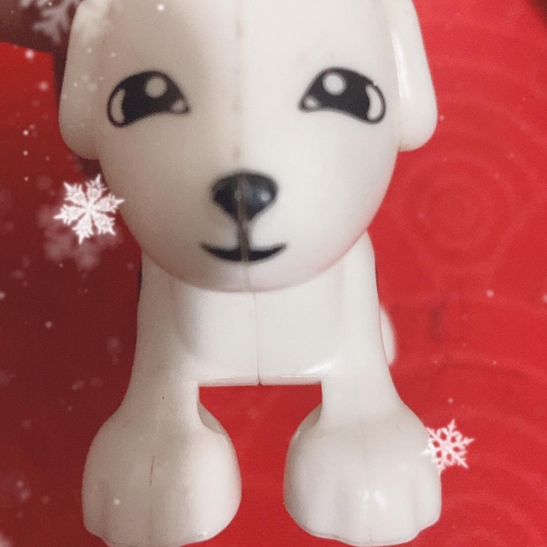 鑫欣