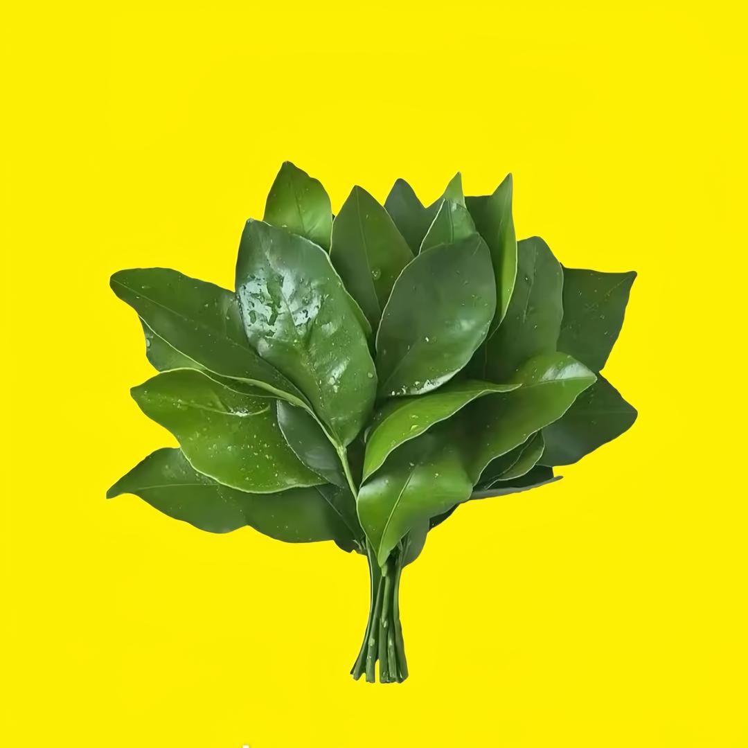 冯宝宝