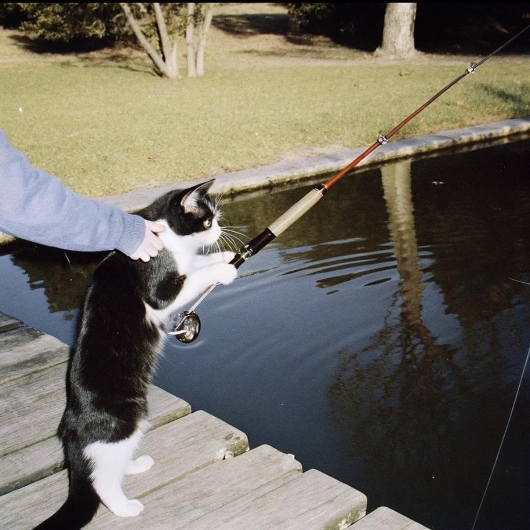 平山大物钓场乌青