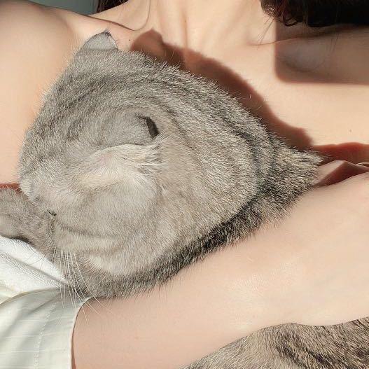 艾