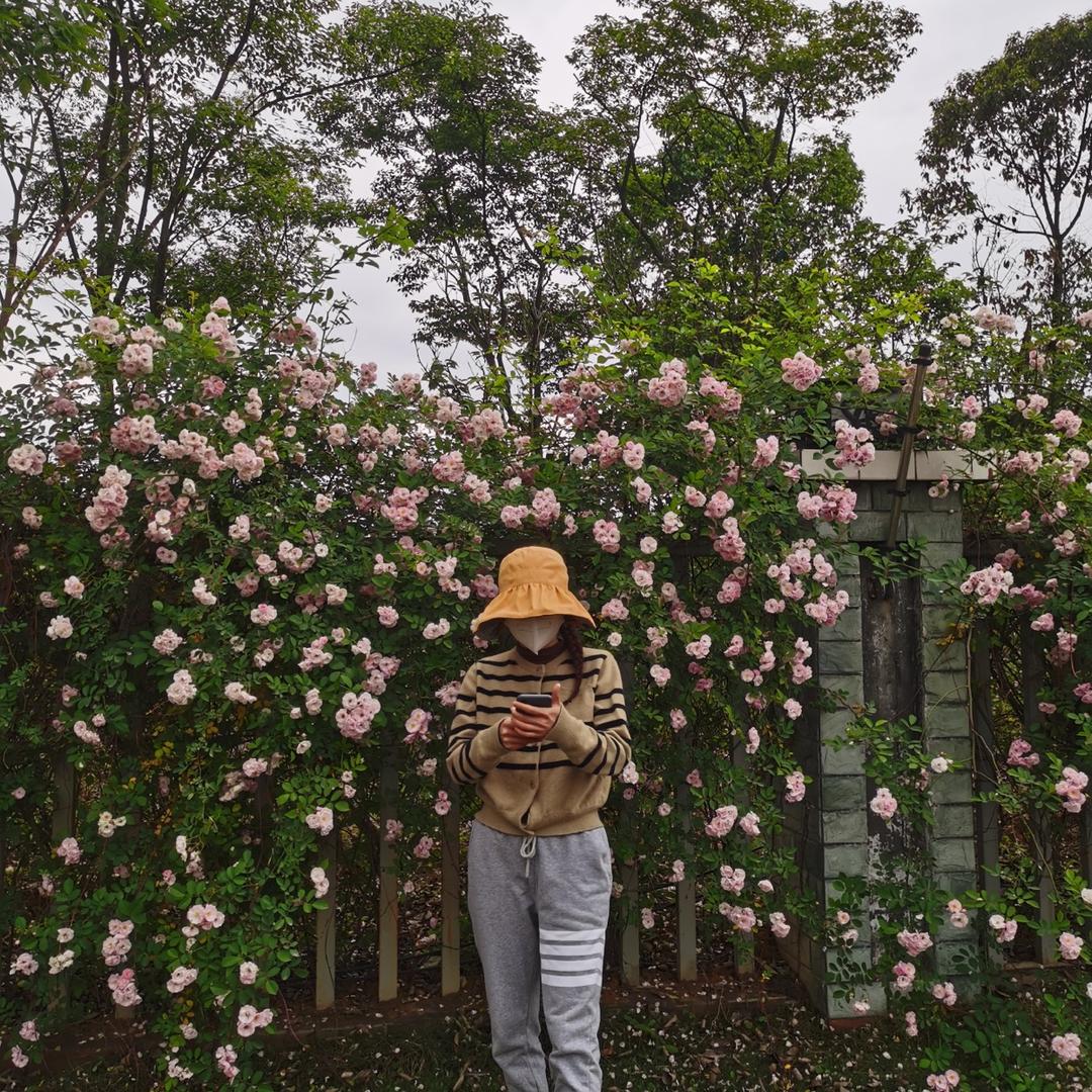 陈妮妮
