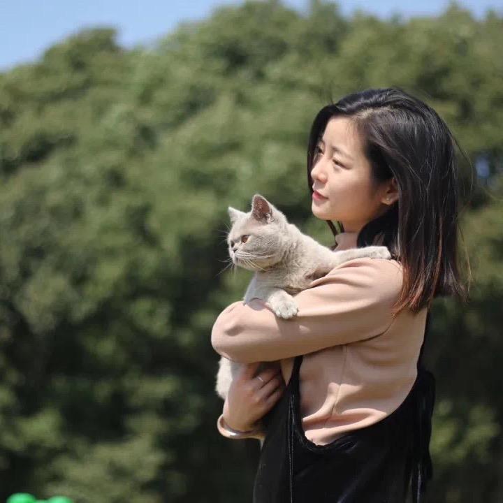 是叶子啊