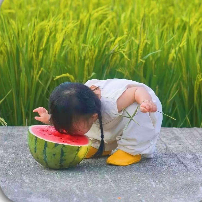 浩浩是个小淘气