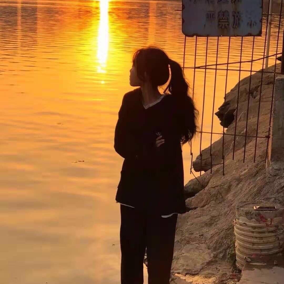 黄蚊