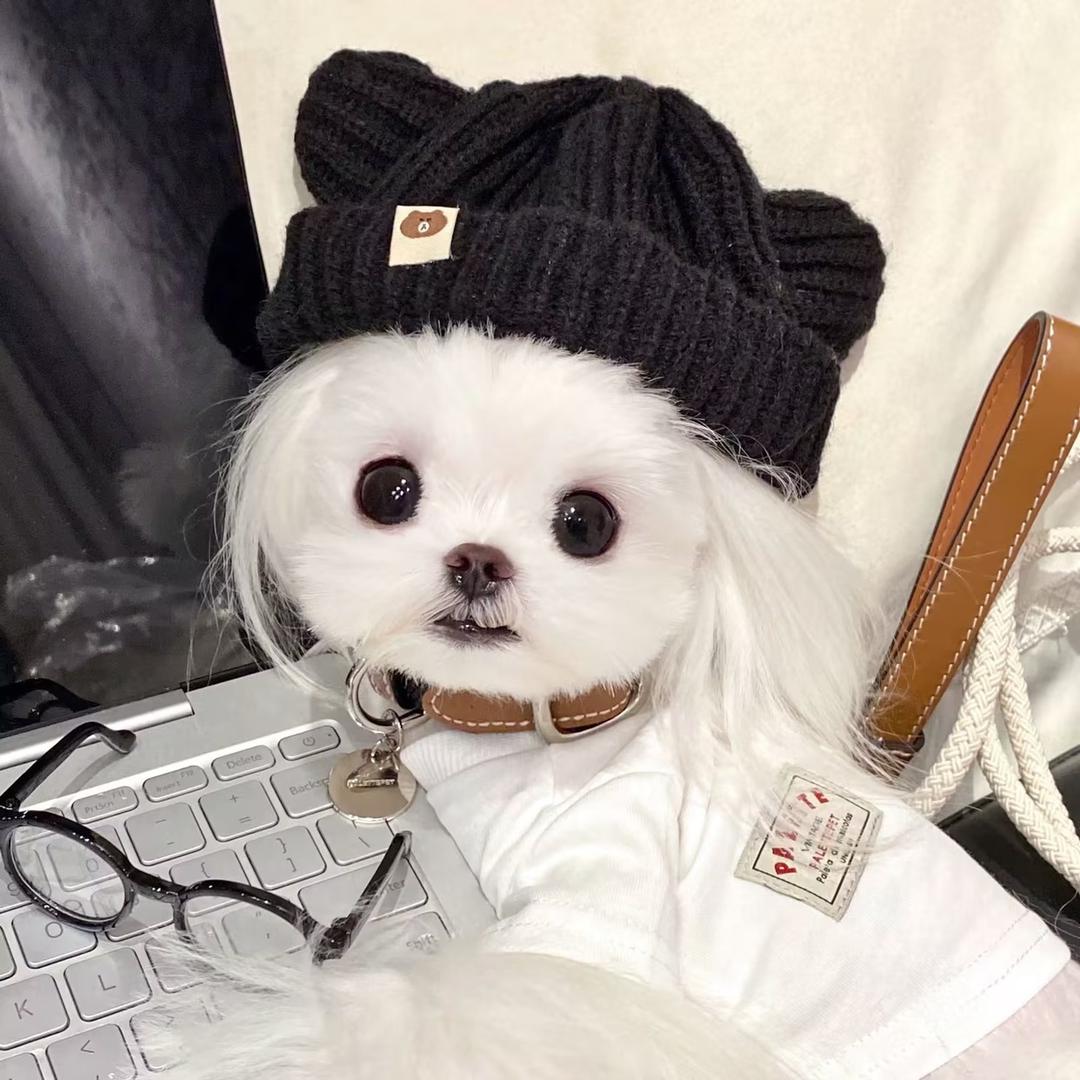 糍粑魚•°oＯ（陈立农面签版