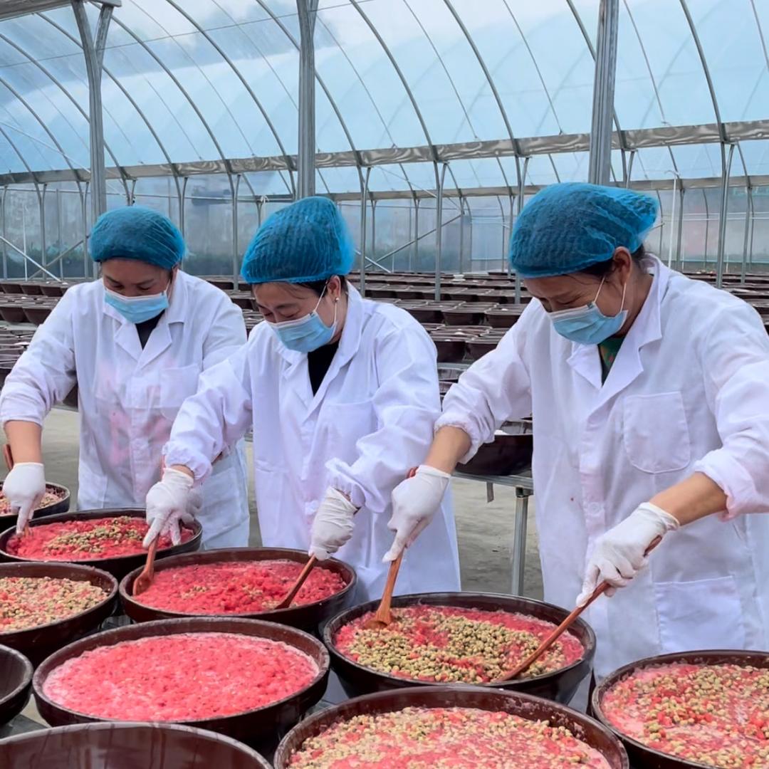 河东酱爷西瓜酱