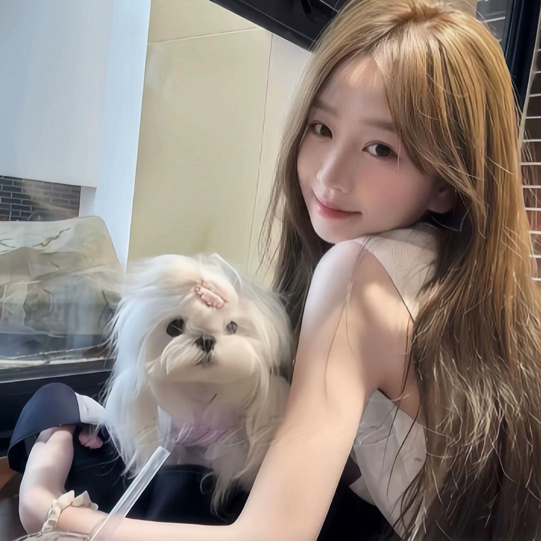 _小娇妻.