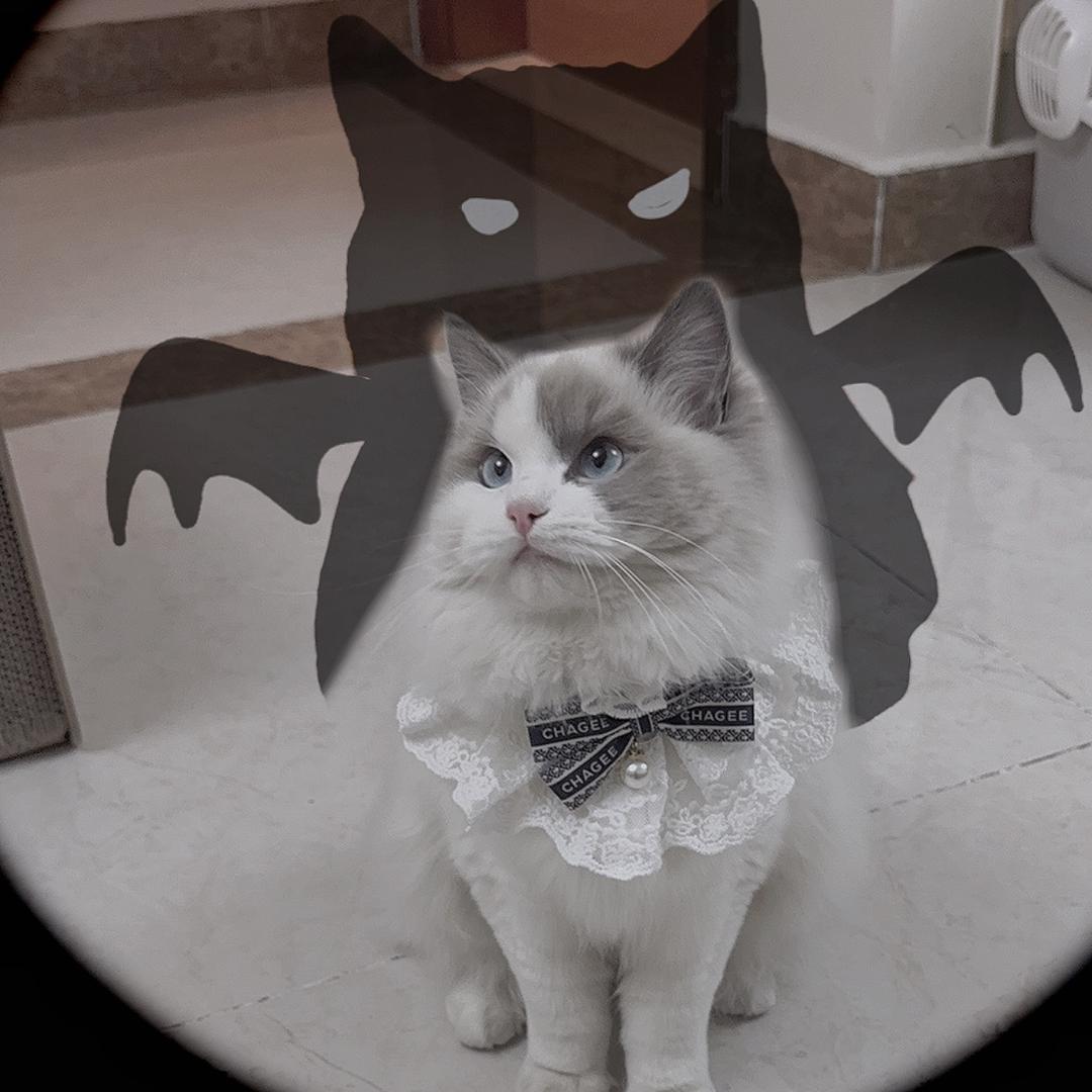 🌈 ᥫᩣ 一团小丸子̑̑ ෆ⃛