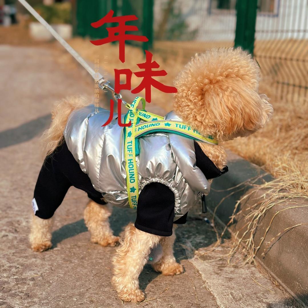 小精灵🧚‍♀️