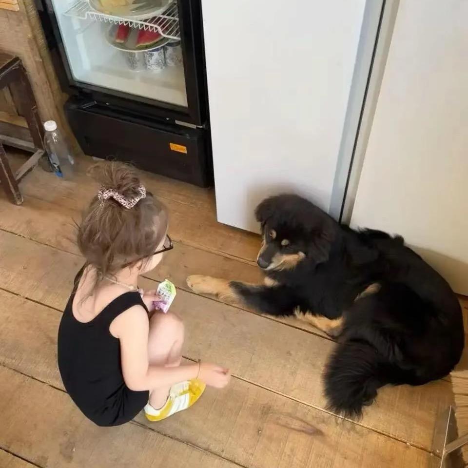 前妻