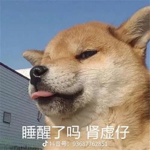 微光号