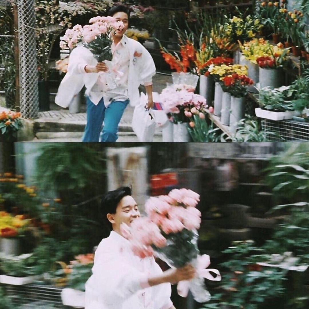 破碎小狗🧊