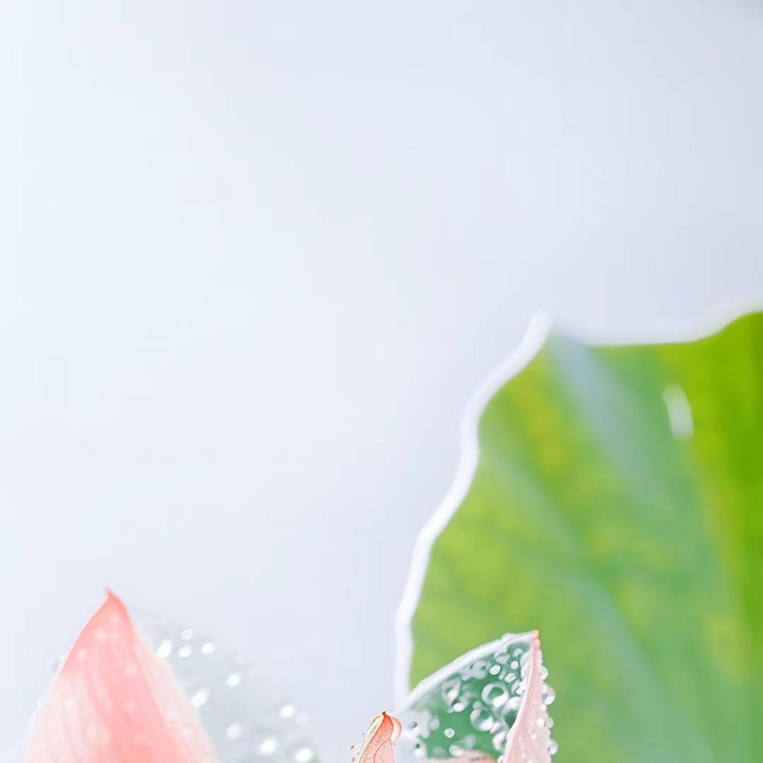 欧气满满潮玩小铺