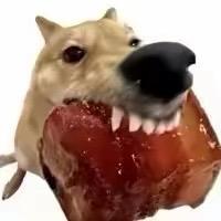 不睡觉的龙