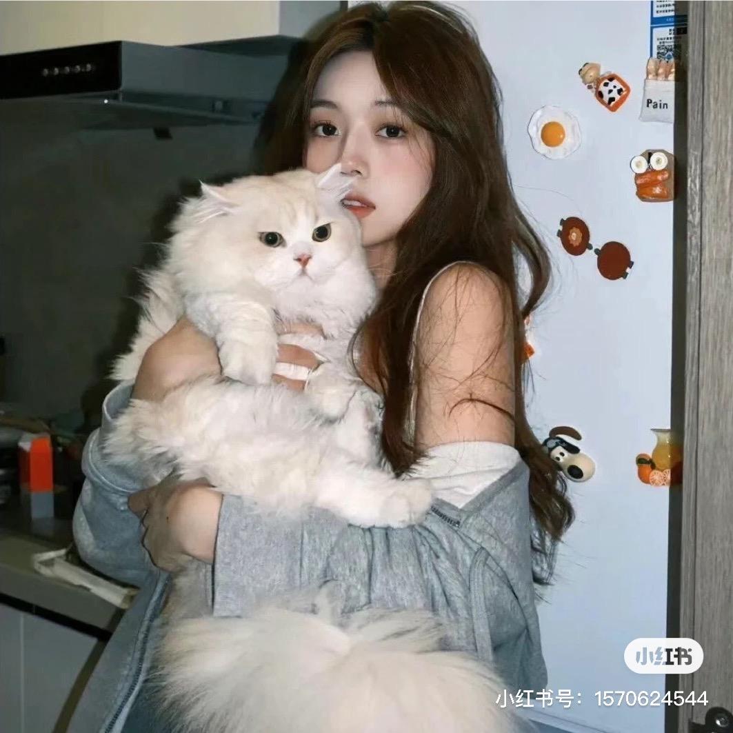小烊咩咩🐑