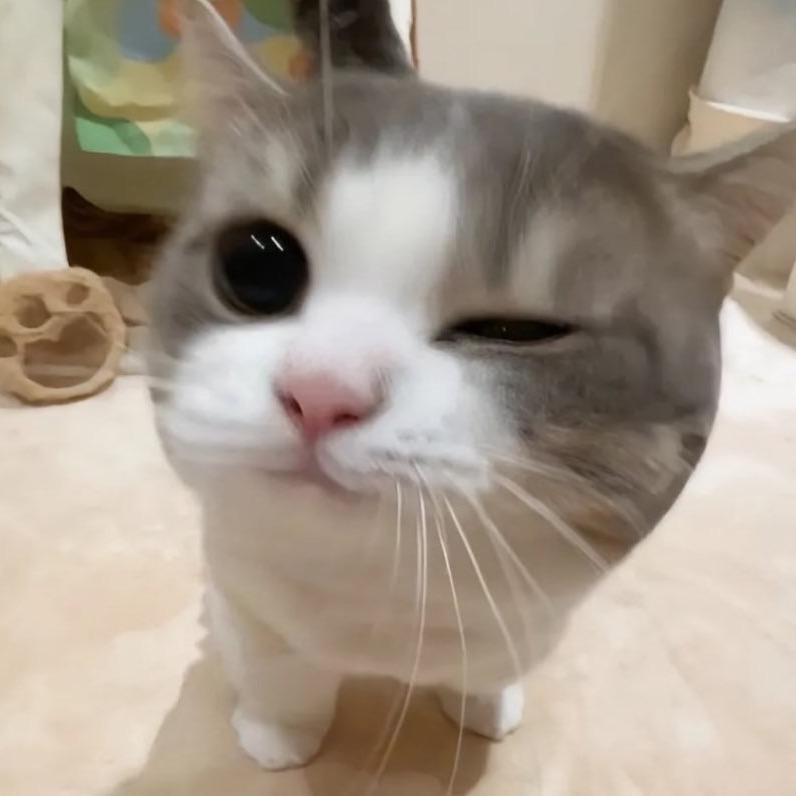 乞力马扎罗的雪