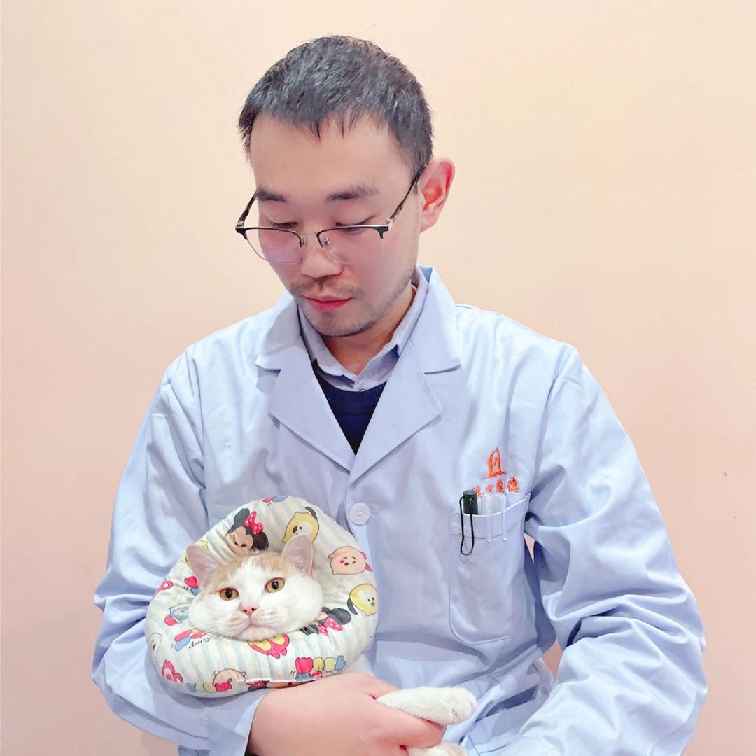 老贾是兽医