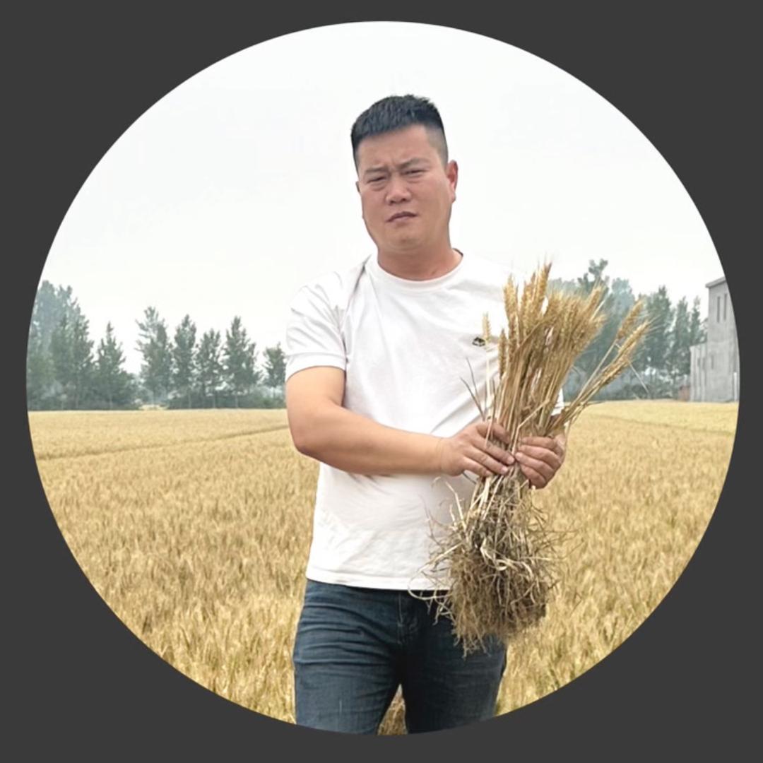 🌾🌾土生金🌾🌾