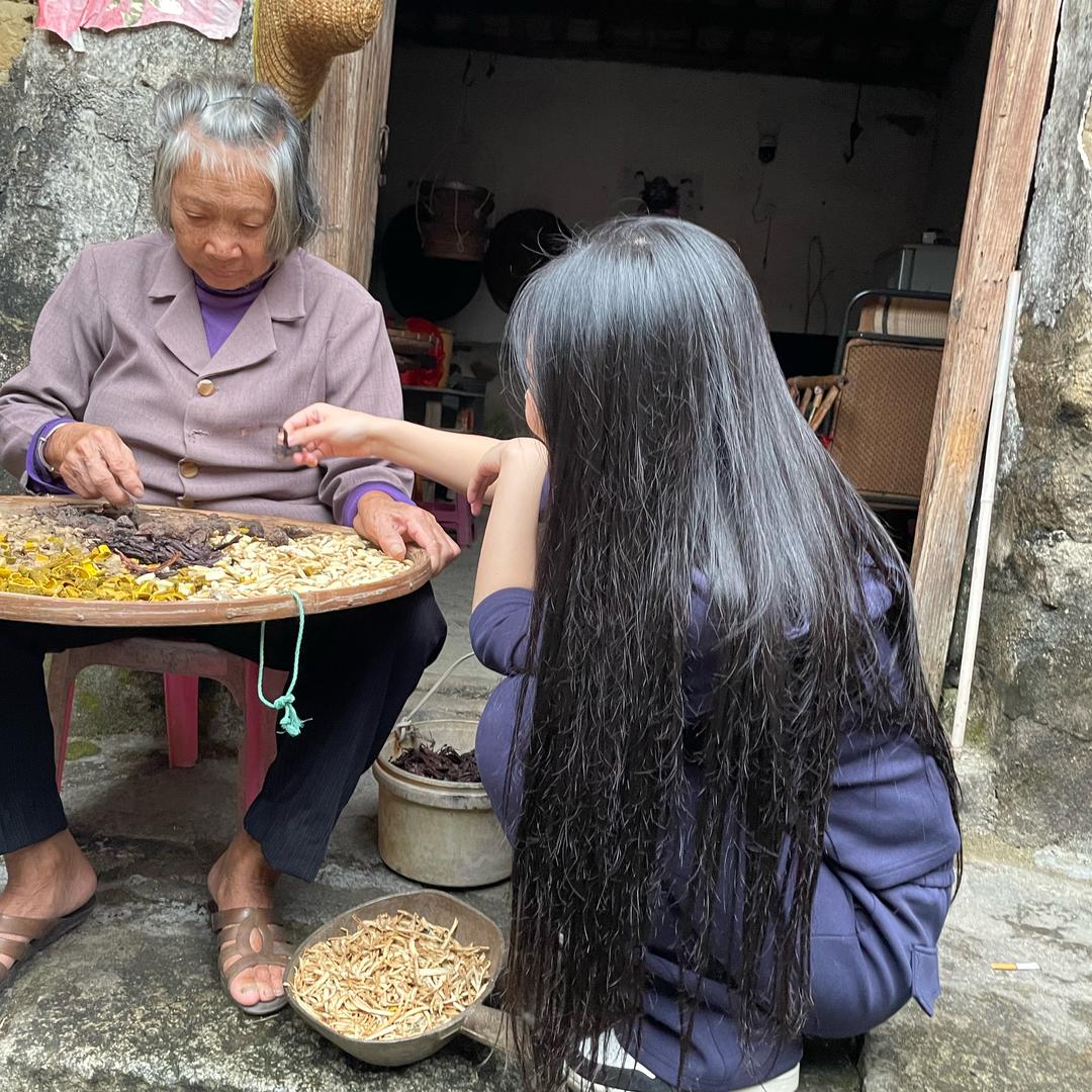 阿姐草本