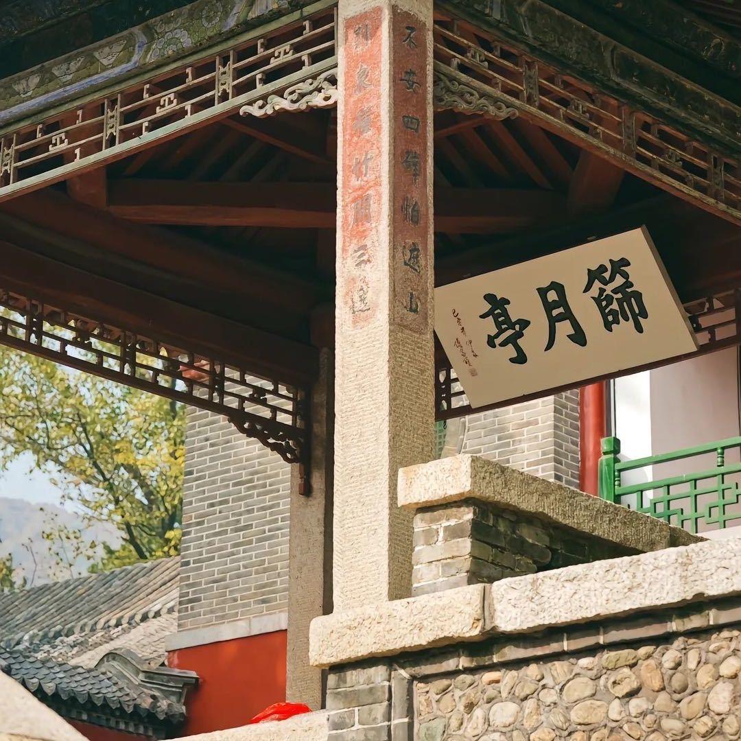 琦哥赏宝