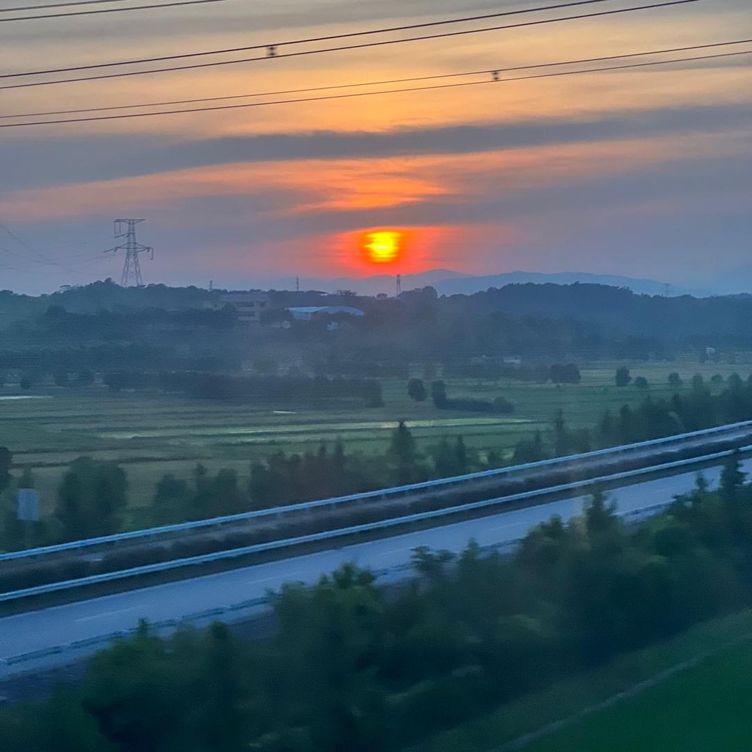 霞姿月韵