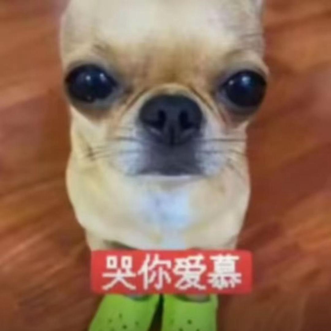 有钱我就忘本՞˶･֊･˶՞