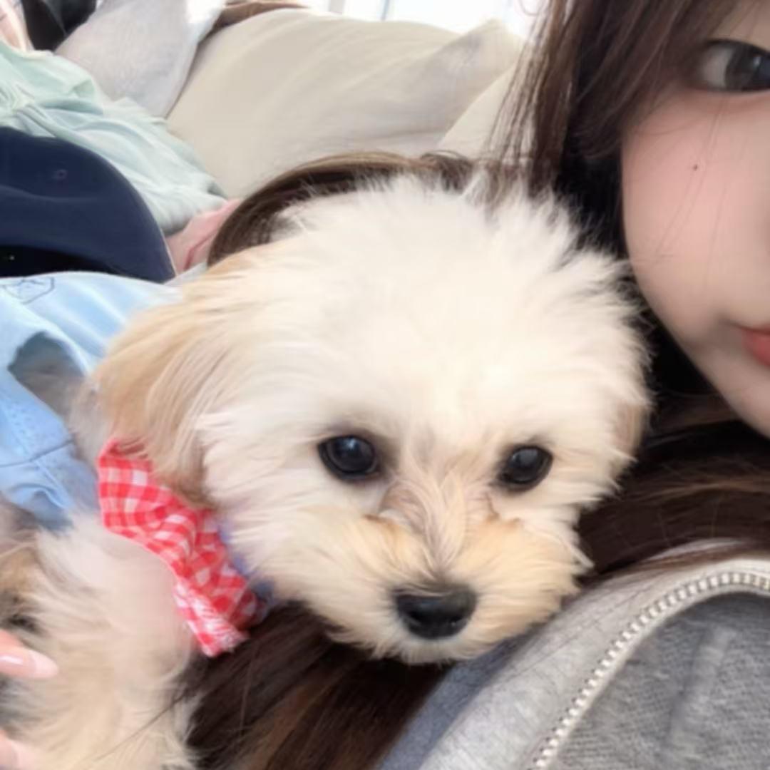 维富贵