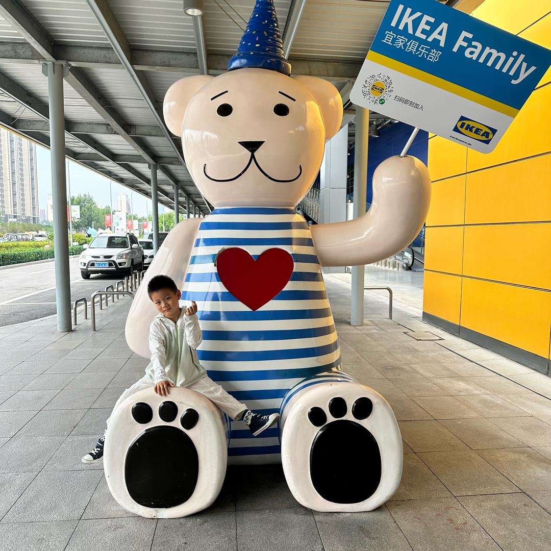 🌈四毛橙🍊不倒